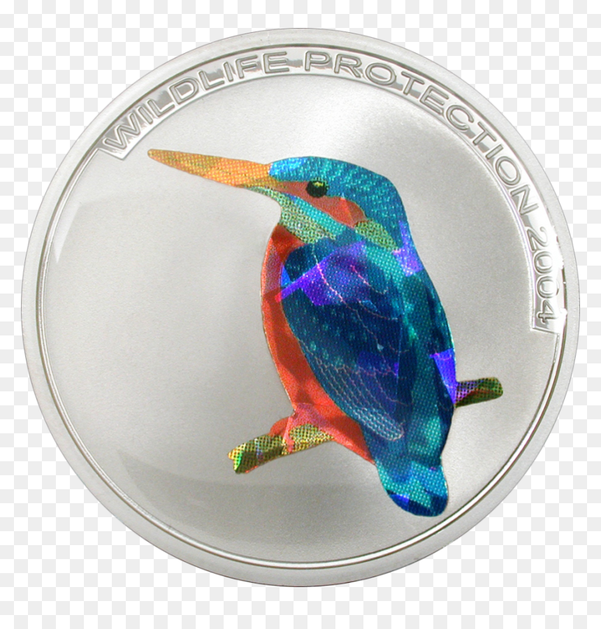 Ruby-throated Hummingbird, HD Png Download - kingfisher png