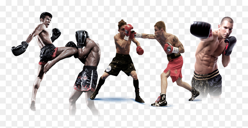 Thumb Image - Muay Thai, HD Png Download - boxing png