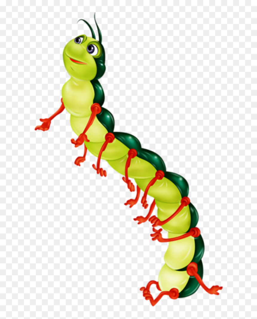 R Sultat De Recherche - Dessin De Chenille En Couleur, HD Png Download - centipede png