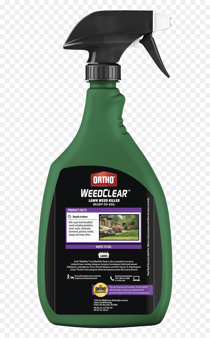 Floor, HD Png Download - weeds png