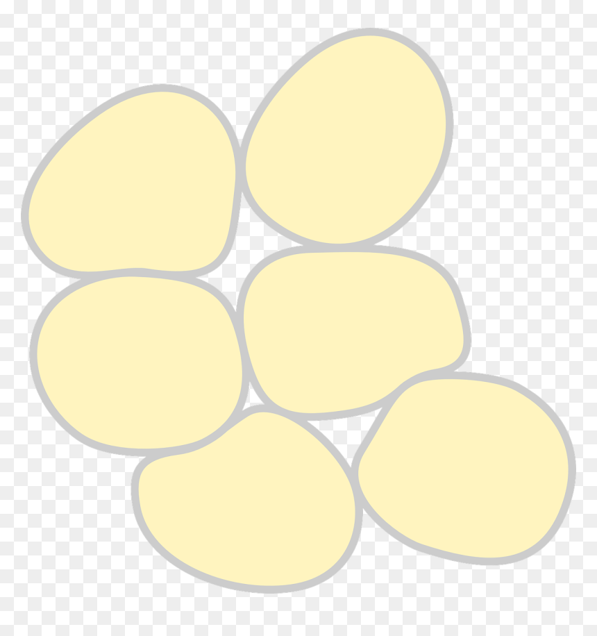Adipose Tissue Clipart, HD Png Download - fat png