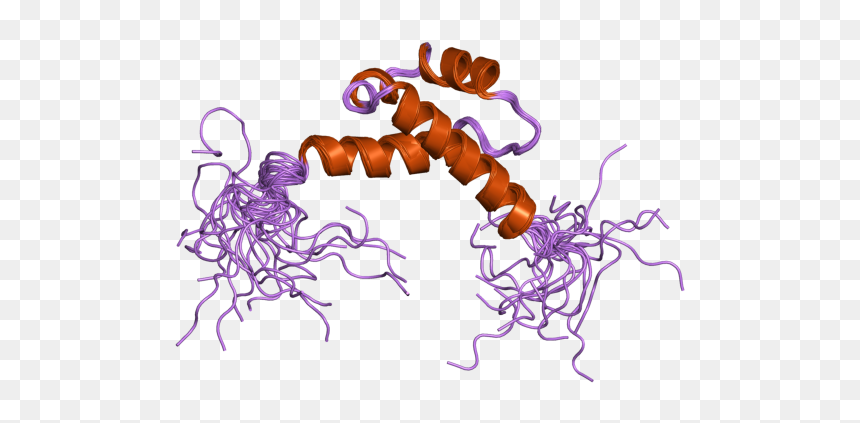 Pdb 2dof Ebi - Illustration, HD Png Download - centipede png