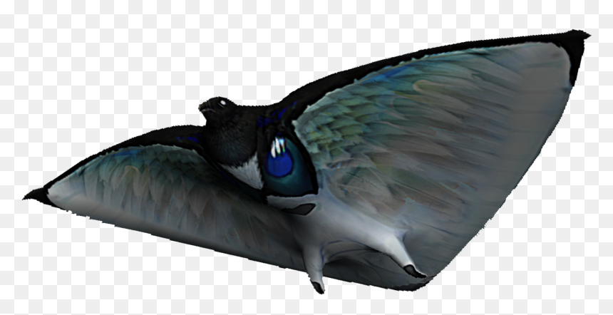 All The Fishes From Subnautica , Png Download - Fandom, Transparent Png - subnautica png