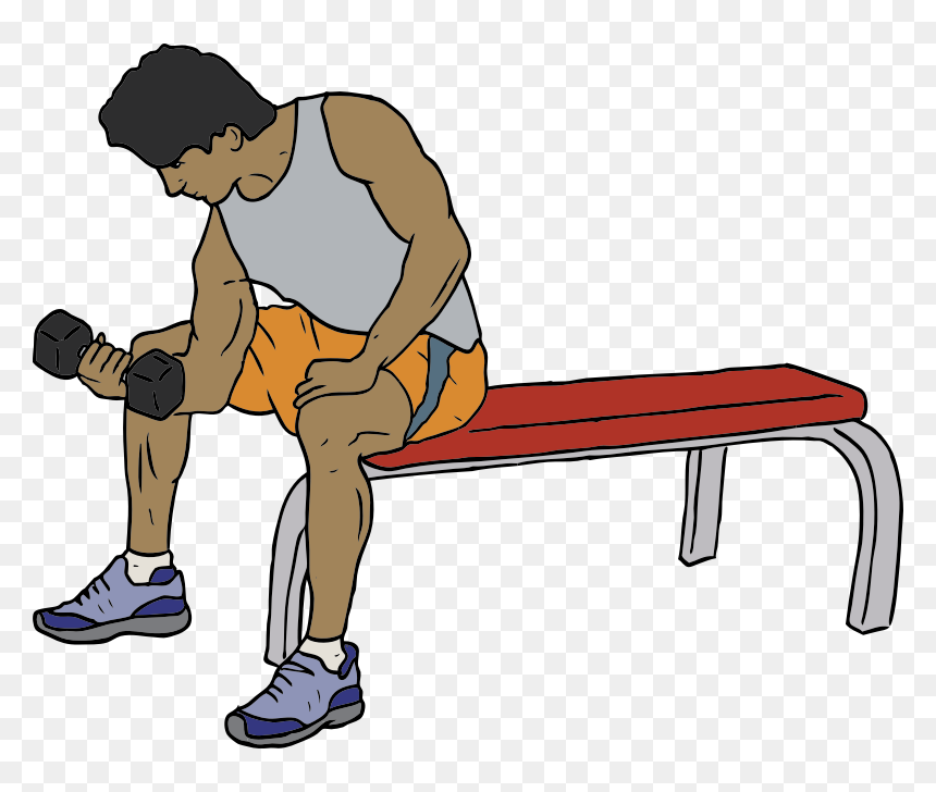 Dumbell Lifter - Go To Gym Clipart, HD Png Download - dumbell png