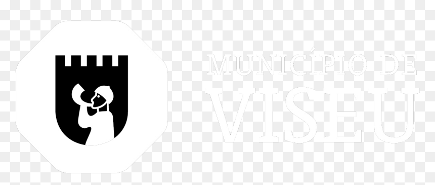Câmara Municipal De Viseu - Camara Municipal De Viseu Png, Transparent Png - camara png