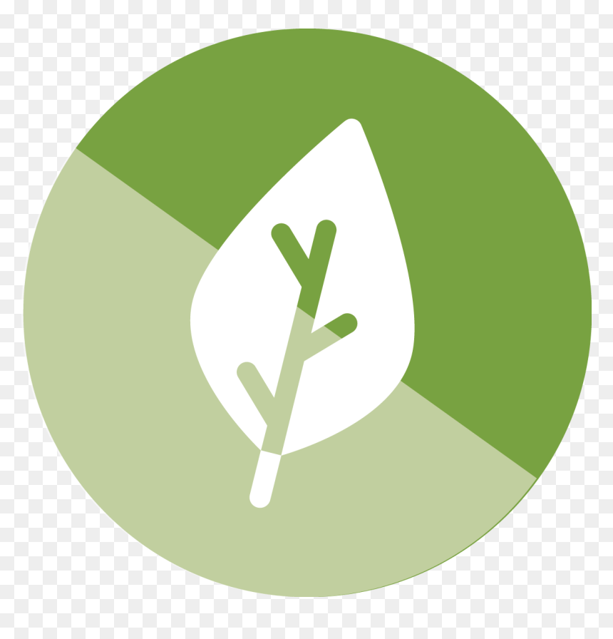 Circle , Png Download - Icono De Medio Ambiente, Transparent Png - iconos png