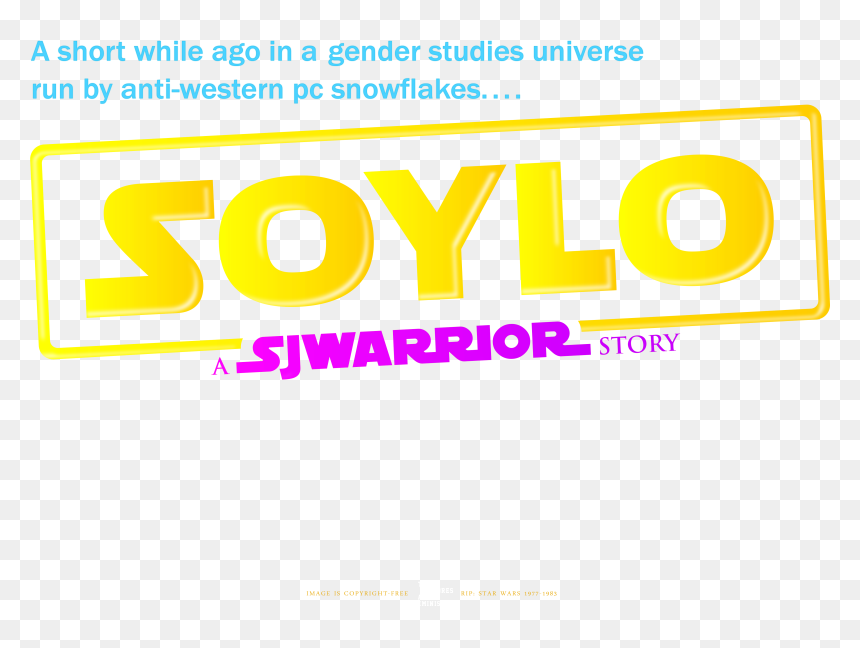Kylo Ren Transgender Feminist Feminism Patriarchy Antifa - Parallel, HD Png Download - feminist png