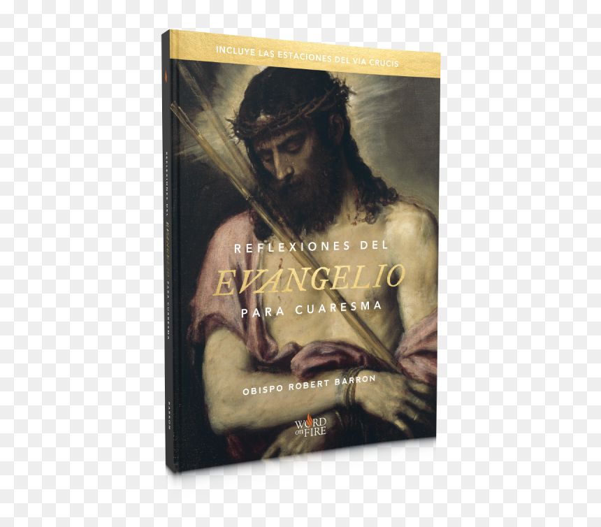 Lenten Gospel Reflections 2020, HD Png Download - spanish png