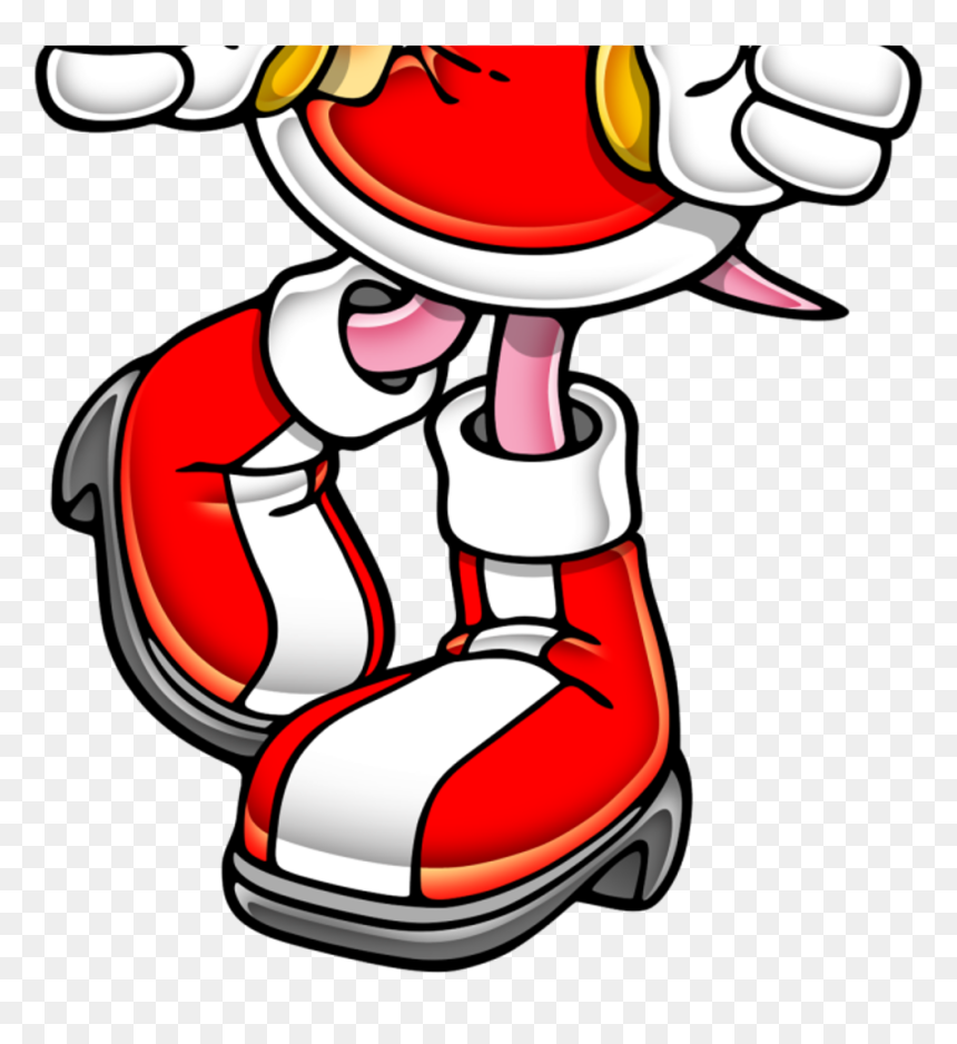 Amy Rose Boots - Amy Rose And Pinkie Pie, HD Png Download - amy rose png