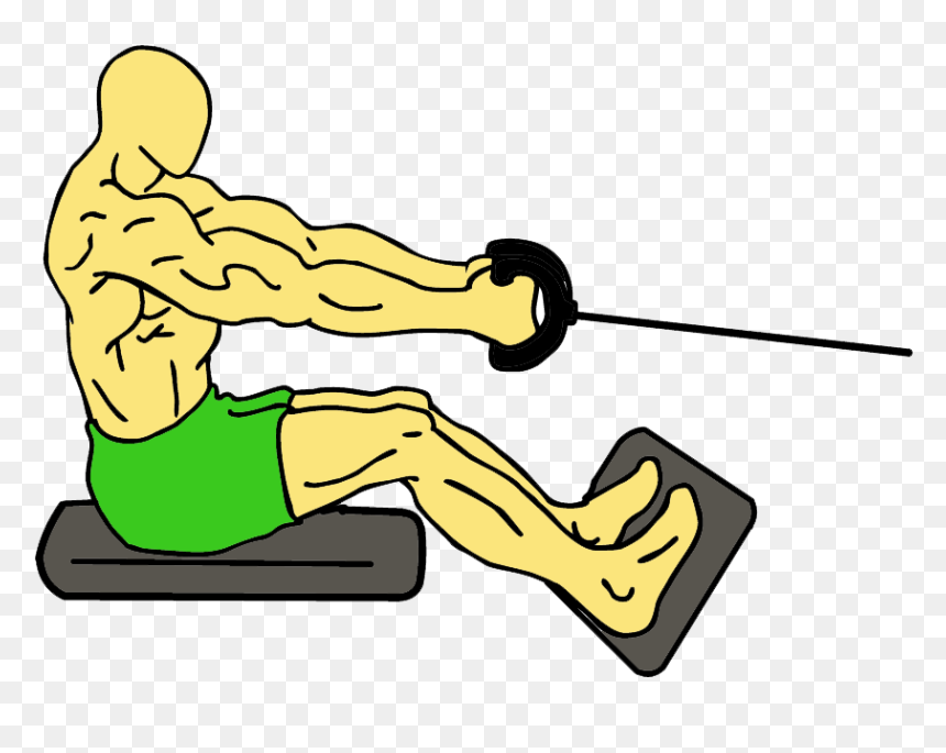 Lats Workout Clipart , Png Download - Seated Rows, Transparent Png - workout png