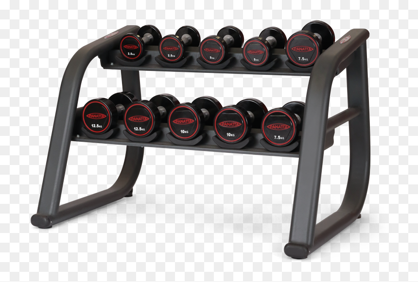 Panatta Urethane Dumbbell, HD Png Download - dumbell png