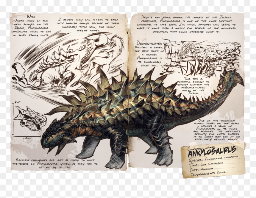 Ankylosaurus, HD Png Download - ark survival evolved png
