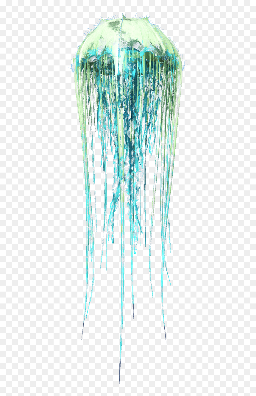 Cnidaria, HD Png Download - ark survival evolved png
