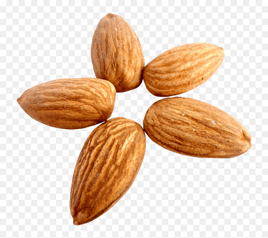 Transparent Almonds Png, Png Download - almond png