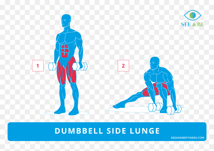 Overhead Lunges Muscles Worked, HD Png Download - dumbell png
