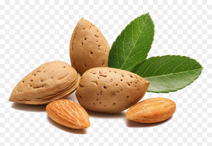 Almond Png Transparent Image - Transparent Background Almond Png, Png Download - almond png
