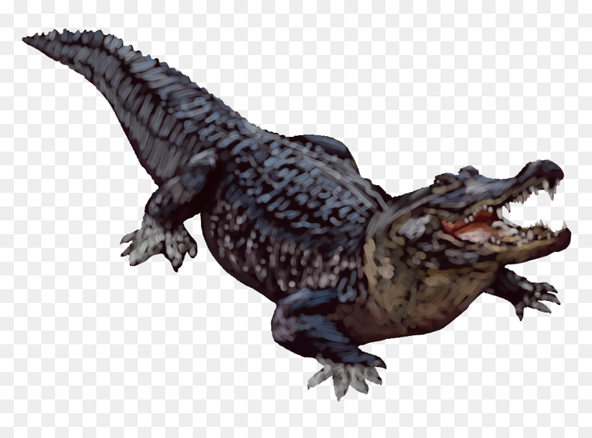 Alligator Transparent Background - Crocodile With Transparent Background, HD Png Download - gator png
