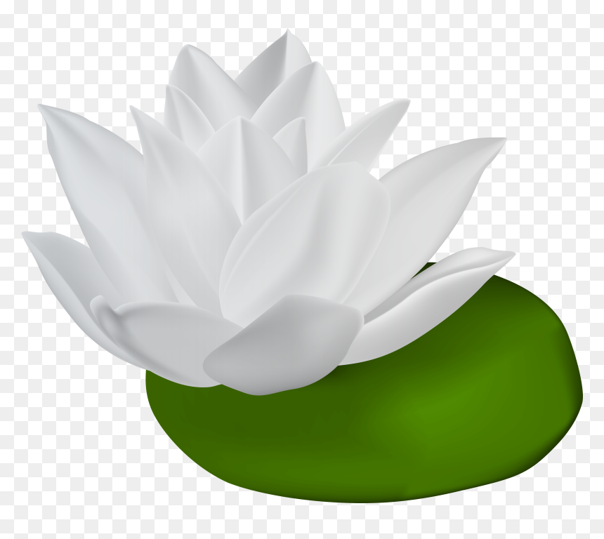 Water Lilies Clip Art, HD Png Download - water lily png