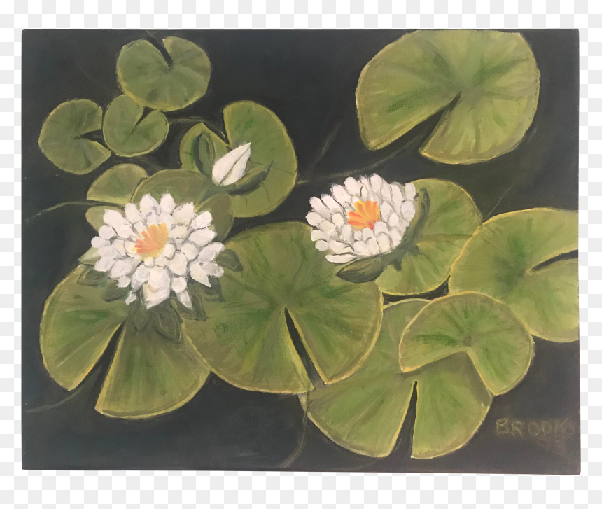 Drawing Chinese Water Lily - Sacred Lotus, HD Png Download - water lily png