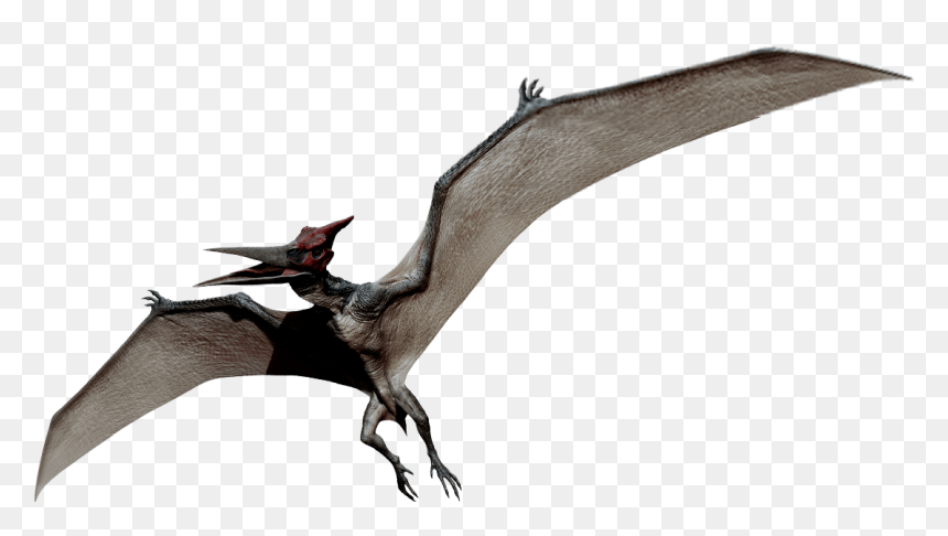 Survival Evolved Wiki - Pterosaurs Png, Transparent Png - ark survival evolved png