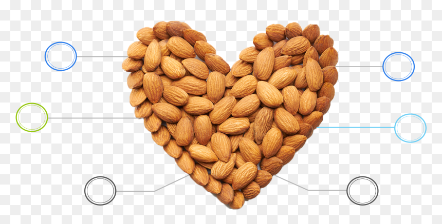 Benefits Of Almonds - Almond Png Transparent, Png Download - almond png