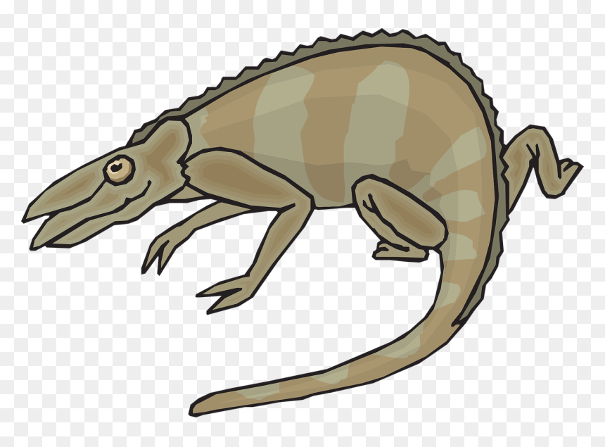 Chameleons, HD Png Download - chameleon png