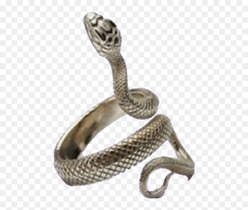 #png #snake #snakering #ring #freetoedit - Aesthetic Ring Snake, Transparent Png - serpent png