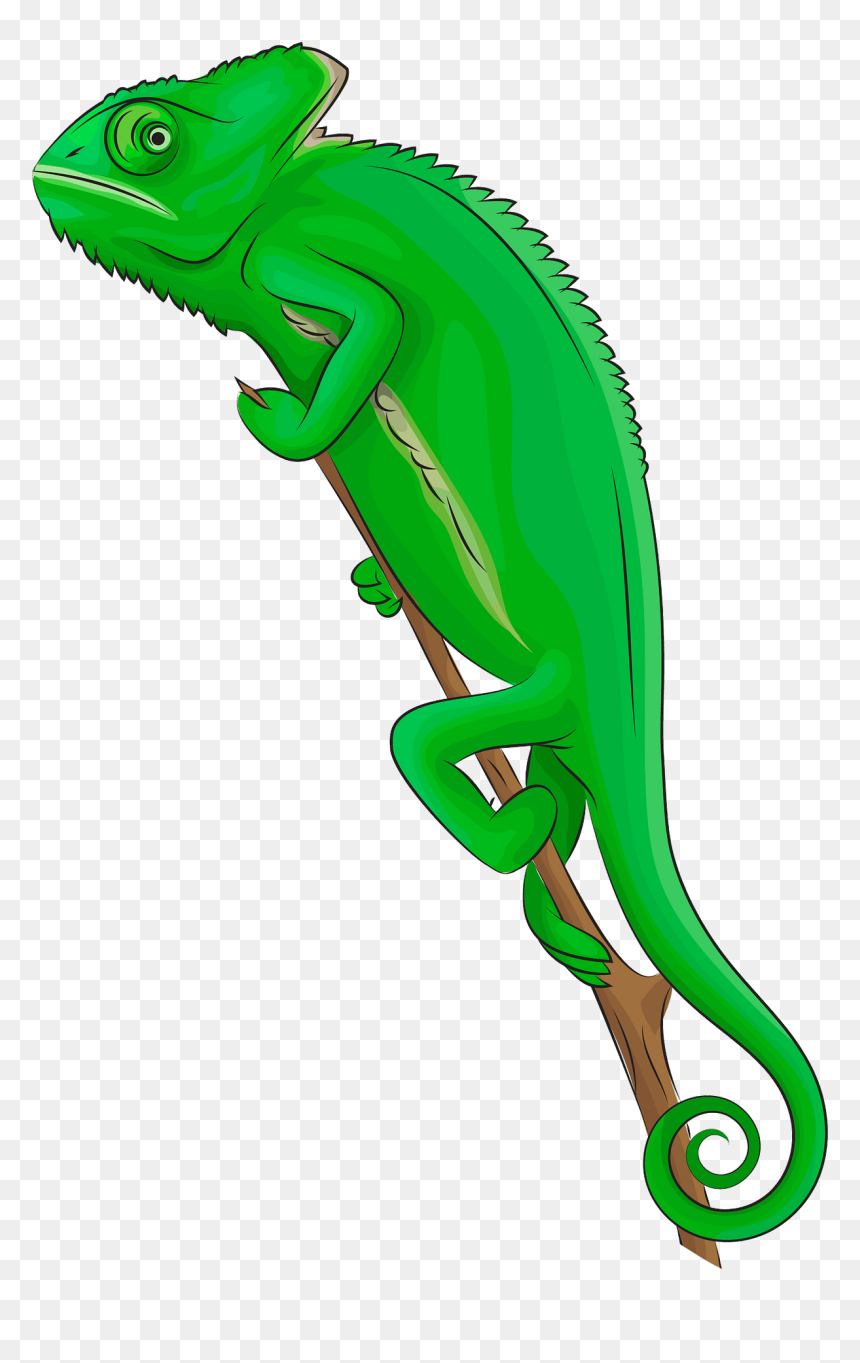 Chameleon Clipart, HD Png Download - chameleon png