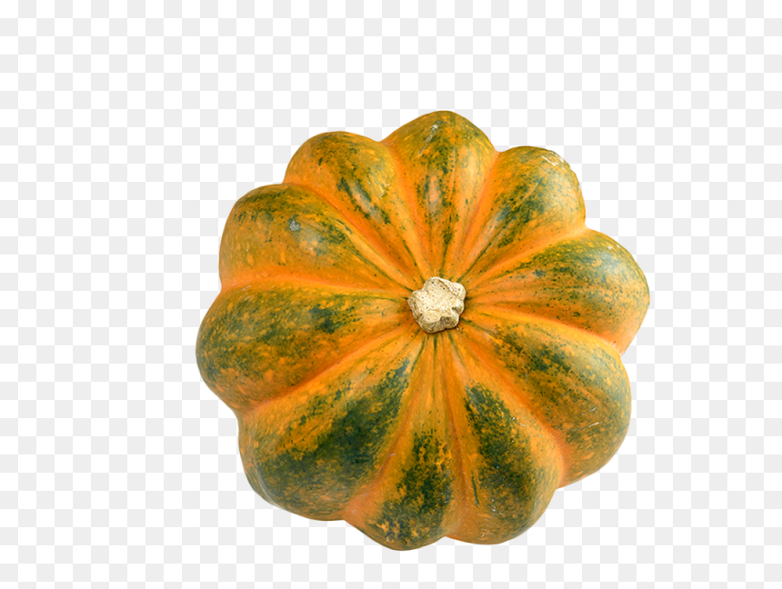 Acorn Squash Png Transparent Image - Acorn Squash, Png Download - squash png