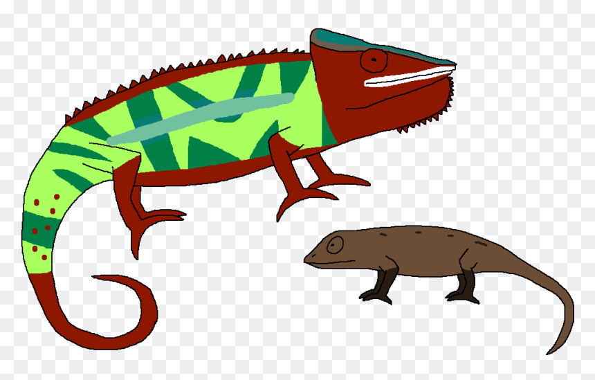 Animal Camouflage Chameleon - Common Chameleon, HD Png Download - chameleon png