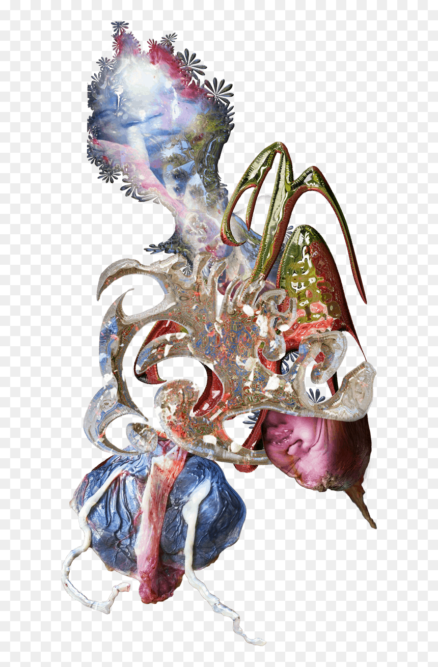 Illustration, HD Png Download - list png