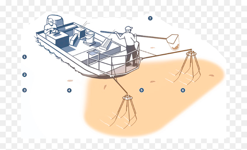 Transparent Snake Head Png - Snakehead Boat, Png Download - snake head png