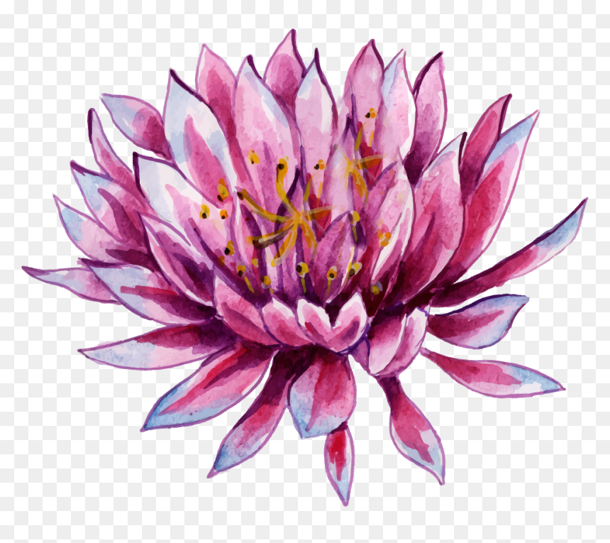 Sacred Lotus, HD Png Download - water lily png
