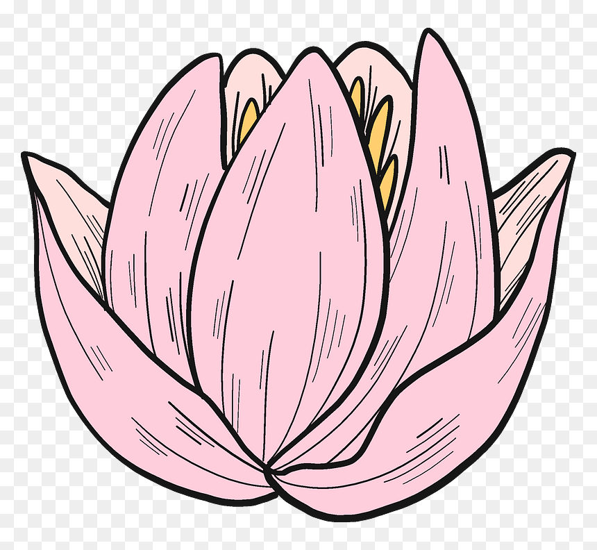 Pink Water Lily Clipart, HD Png Download - water lily png
