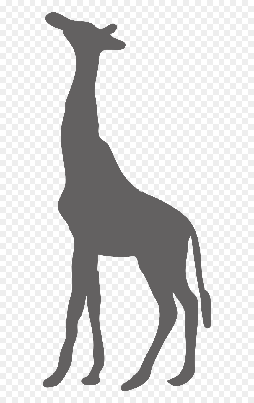 Black And White Giraffe Clipart, HD Png Download - safari png