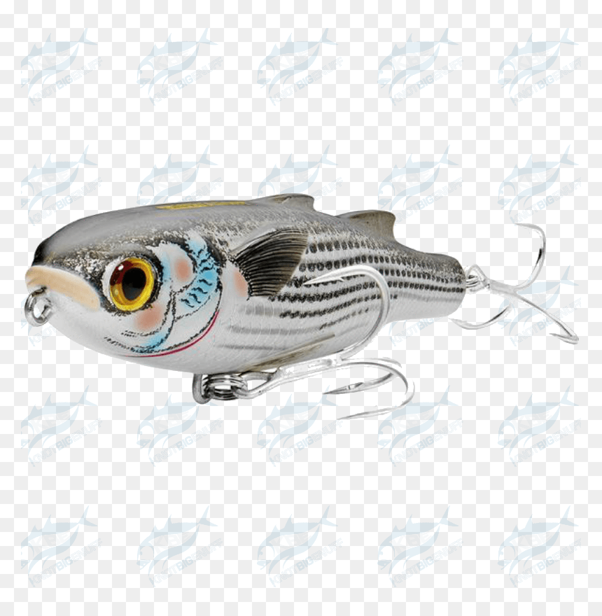 Mullet Walking Bait Muw - Bass, HD Png Download - mullet png