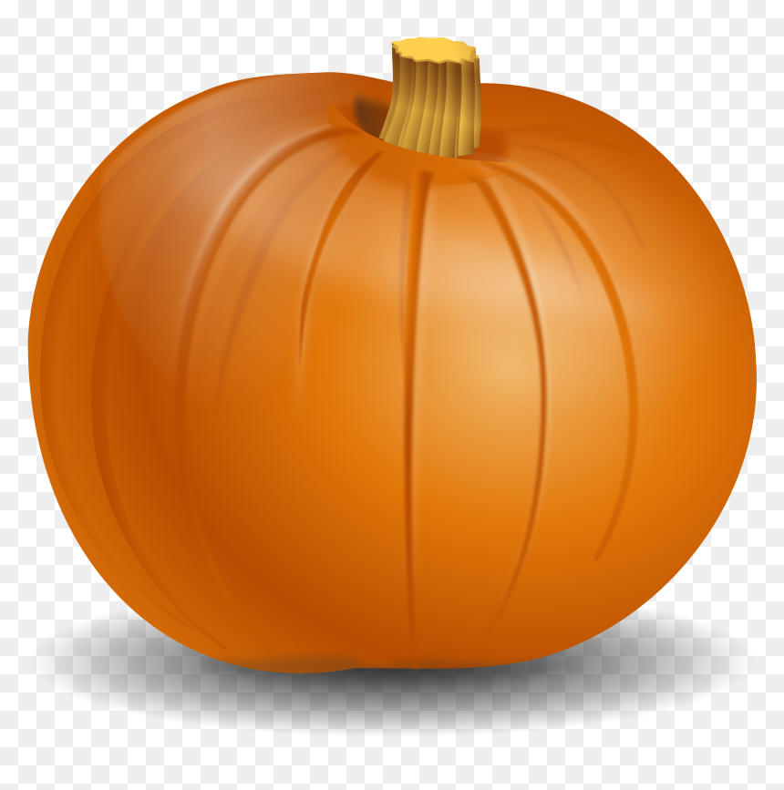 Free Clip Art Of A Pumpkin, HD Png Download - squash png