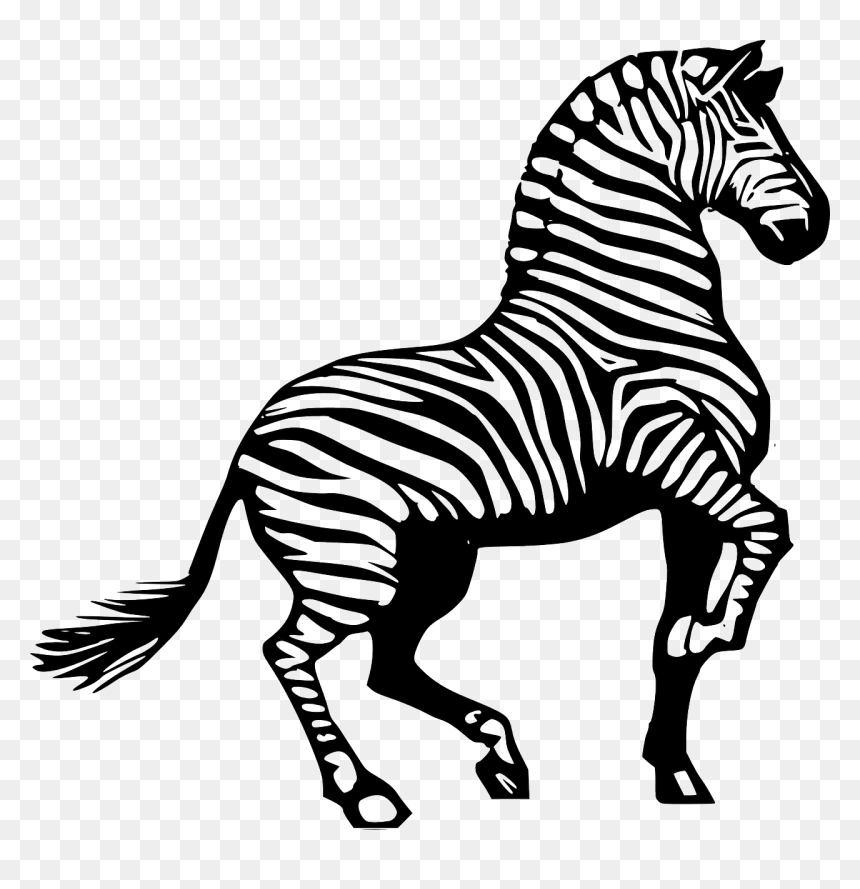 Zebra Clipart Black And White, HD Png Download - safari png