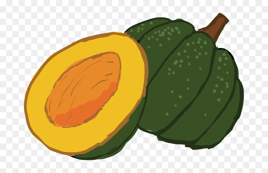 Png Transparent Download Collection Of Acorn High Quality - Cartoon Acorn Squash Transparent, Png Download - squash png
