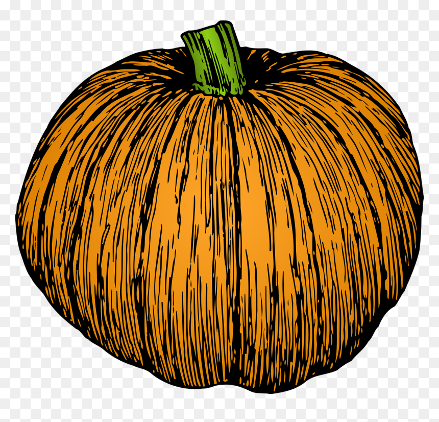 Pumpkin Vector Art Black And White, HD Png Download - squash png