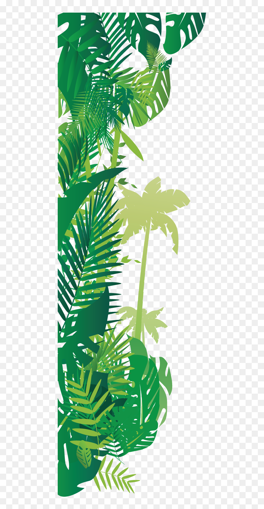 Safari Smart Water Bottle Clear Plastic Material Daraz, HD Png Download - safari png