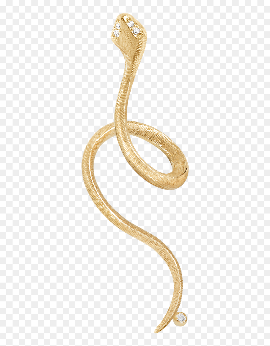 Indian Cobra, HD Png Download - snakes png