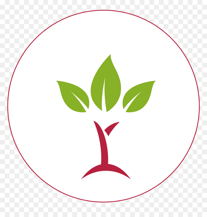Circle, HD Png Download - award icon png
