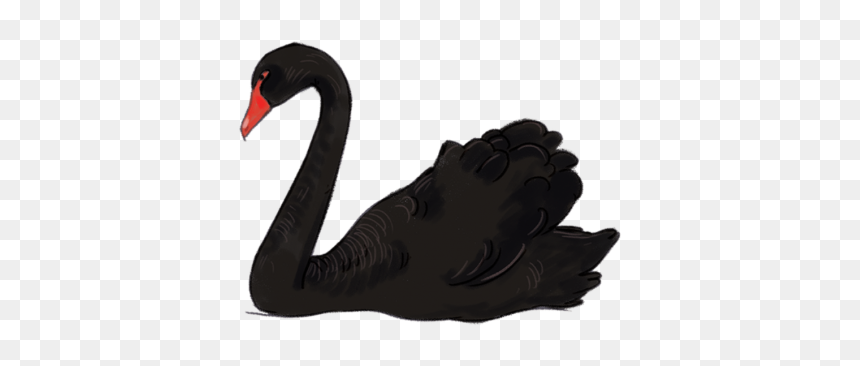 Black Swan Clipart Png, Transparent Png - swan png