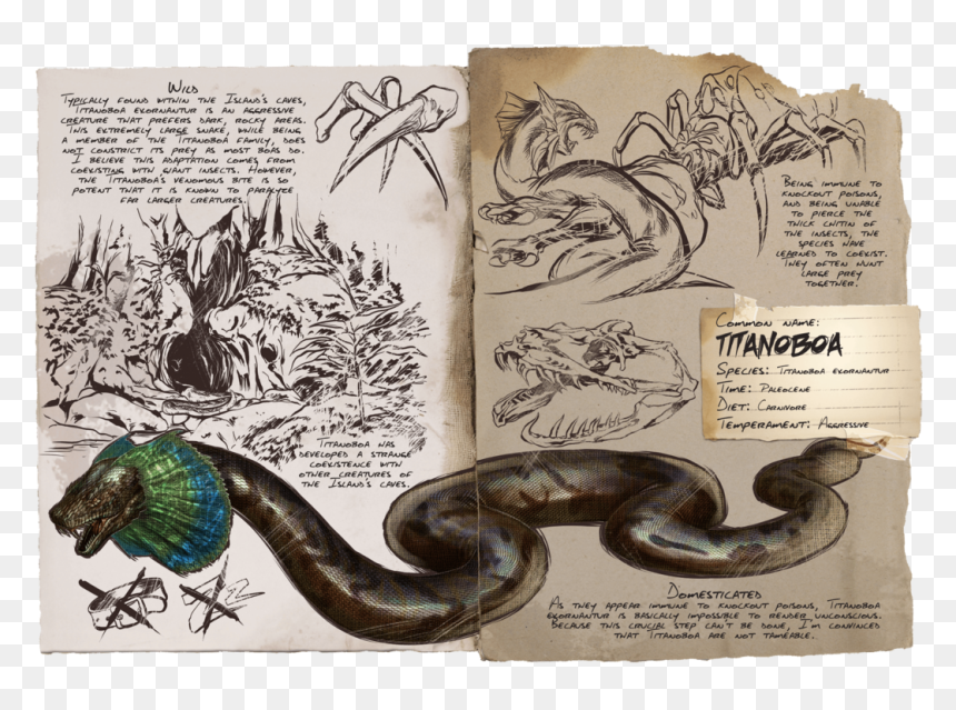 Ark Titanoboa, HD Png Download - snakes png