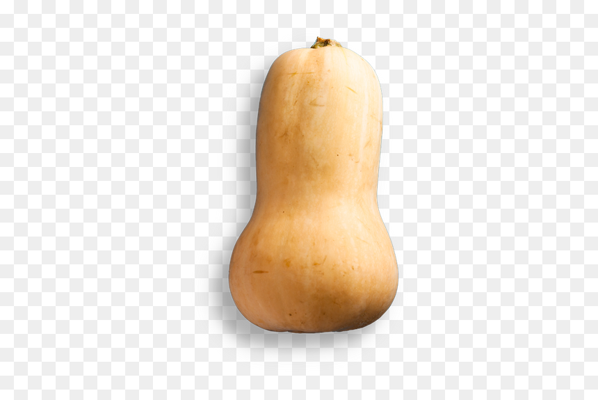 Butternut Squash, HD Png Download - squash png