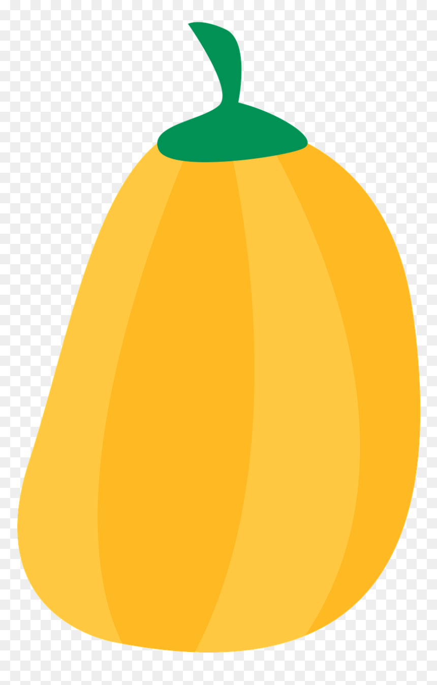 Zucchini, HD Png Download - squash png
