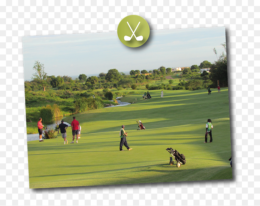 Activity Safaris Golf Safari - Grass, HD Png Download - safari png