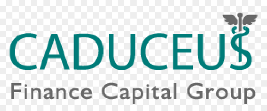 Office Gurus, HD Png Download - caduceus png
