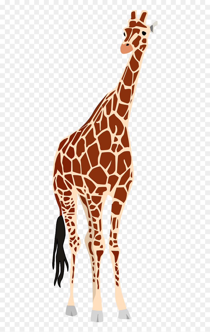 De Animales De Africa, HD Png Download - safari png